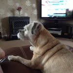 Peggy Wareham - @uzza123 - Instagram