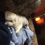 Peggy Warner - @peg_warner - Instagram
