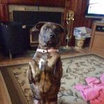 Peggy Warner Lennox - @peggles204 - Instagram