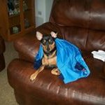 Peggy Warren - @peggy4731 - Instagram