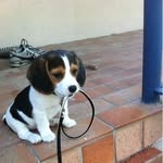 Peggy Washington - @peggy.washington.10 - Instagram