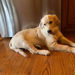 Peggy Weems - @peggy.weems1 - Instagram