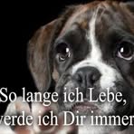Peggy Wehner - Facebook