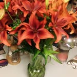 Peggy Weigel - @weigelps - Instagram