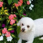 Peggy Weimer - @peggy.weimer - Instagram