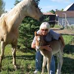 Peggy Weir - @peggy.weir.7140 - Instagram