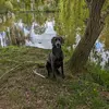 Peggy Weise853 - @peggyweise0 - TikTok