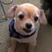 Peggy Weiss - Facebook