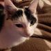 Peggy Weiss - Facebook