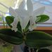 Peggy Weller - Facebook