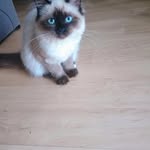 Peggy Weller - @loki.peggy0308 - Instagram