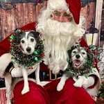 Peggy Weller - @peggyweller67 - Instagram