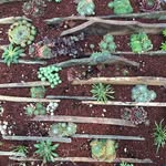 Peggy Westerfield - @peggywesterfield - Instagram