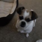 Peggy Whaley - @peggy.whaley.14 - Instagram