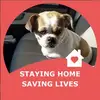 peggywhaley235 - @peggywhaley235 - TikTok