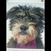 Peggy Wheat - Facebook