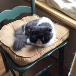 Peggy Wheaton - @wheaton.peggy - Instagram