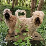 peggy&eadee-wheatenterriers - @peggy_eadee_wheatenterriers - Instagram