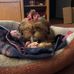 Peggy Whitaker - Facebook
