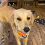 Peggy Whitaker - @peggythe7th - Instagram