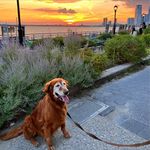 Peggy Foster Beswick - @peggybeswick - Instagram