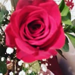 peggy - @peggywickman2018 - Instagram