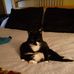 Peggy Wikstrom - Facebook