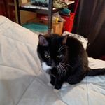 Peggy Wikstrom - @wikstrompeggy - Instagram