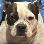 Peggy Mark Willard - @peggymlw - Instagram