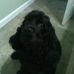 Peggy Willard - Facebook