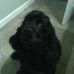 Peggy Willard - Facebook