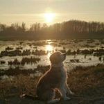 Peggy Wirth - @wirthpeggy - Instagram