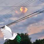 Peggy Wirth Lufkin - @peggylufkin - Instagram