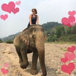 Peggy Wolff - @peggywolff04 - Instagram