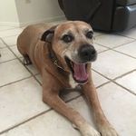 Peggy Wolff - @grandmapeg1943 - Instagram