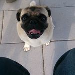 Peggy Wolff - @wolff434 - Instagram