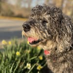 Peggy Wolff - @peggywolff408 - Instagram