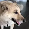 Peggy Wolff - @wolffpeggy - TikTok