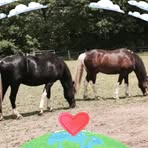 Peggy Wright - Facebook