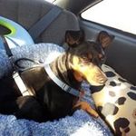 Peggy Wright - @peggy.wright.1088 - Instagram