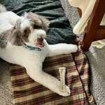Peg Yarbrough - @pego_land13 - Instagram