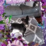 Peggy Yarbrough - @pyarby69 - Instagram