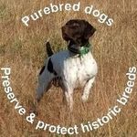 Peggy Yarbrough Sieve - @peggysieve - Instagram