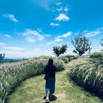 Puipui Yip - @peggyyip - Instagram