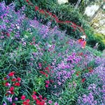 ⓟⓔⓘ ⓒⓗⓔⓔ - @peicheechin - Instagram