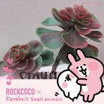 Pei Kwan - Facebook