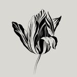 Pei Liew - @bic.please - Instagram