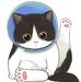 Pei Yan Liew - Facebook