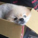 Pei-Yu Tseng - Facebook