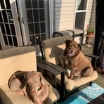 Peighton Cornelli - Facebook